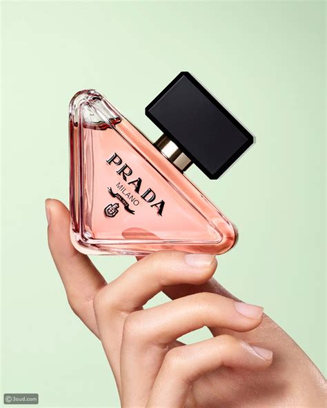 parfum paradoxe prada femme|paradoxe prada perfume.